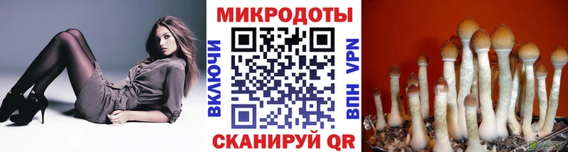 Псилоцибиновые грибы прущие грибы  наркота  Берёзовка 